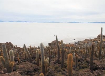 Unas 67 mil visitas tendrá el salar durante el Dakar en Bolivia