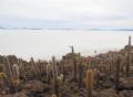 Unas 67 mil visitas tendrá el salar durante el Dakar en Bolivia Unas 67 mil visitas tendrá el salar durante el Dakar en Bolivia