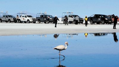 El Rally Dakar 2014 es la apuesta de Potosí para relanzar el turismo