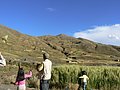carabuco151.JPG