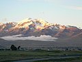 carabuco175.JPG