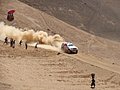 Dakar_Dino_139.JPG