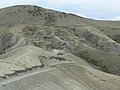tuni177.jpg