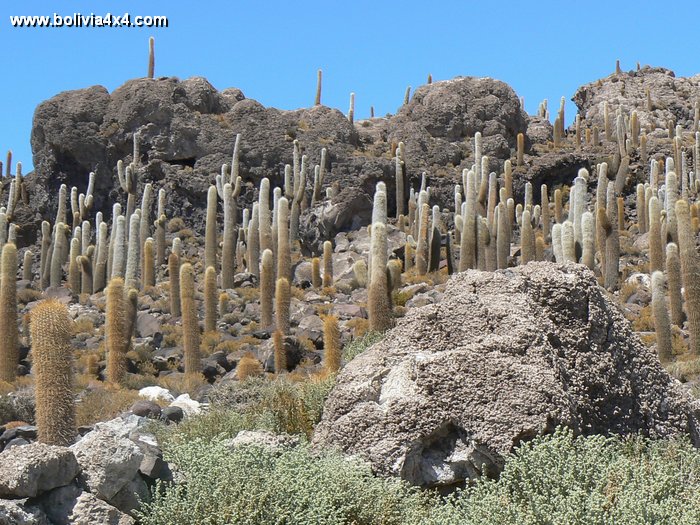 uyuni386.JPG