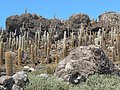 uyuni386.JPG